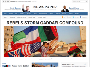 newspaper-nigeria theme websites examples