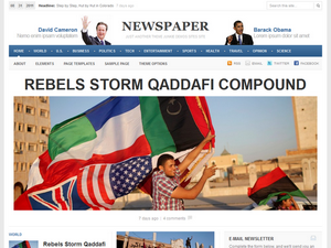 Newspaper theme websites examples