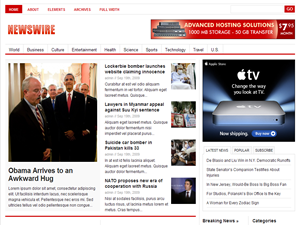 newswire_1.2 theme websites examples