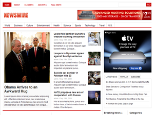 newswire_v1.1 theme websites examples