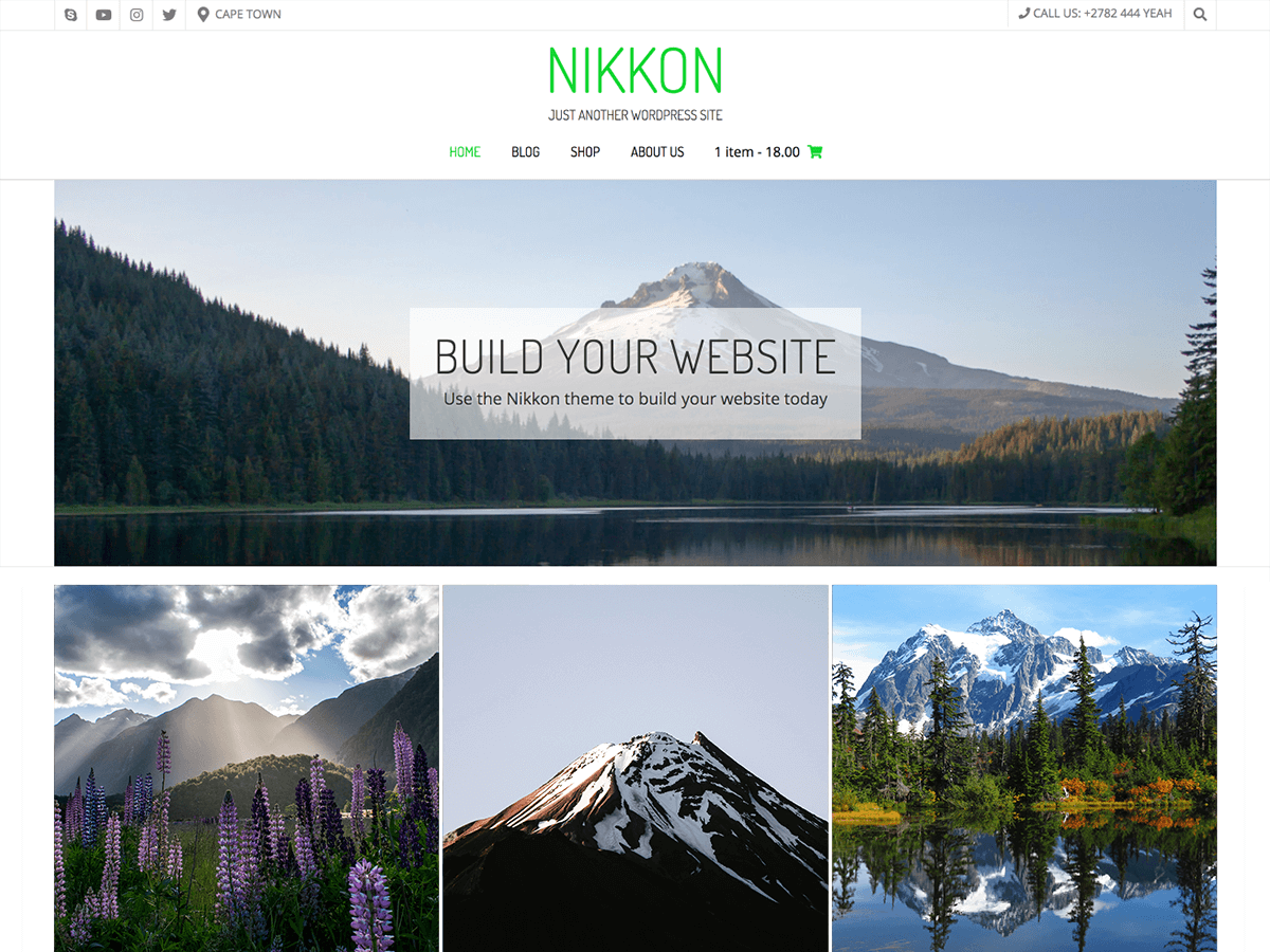 Nikkon website example screenshot