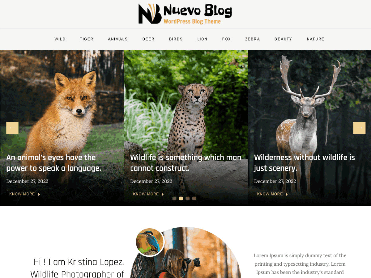 nuevo-blog theme websites examples