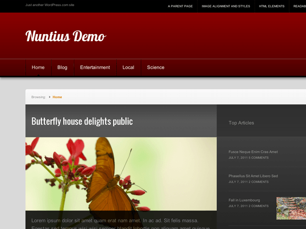 Nuntius website example screenshot