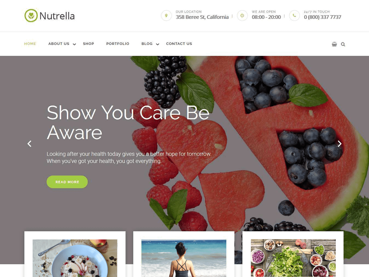 nutrella theme websites examples