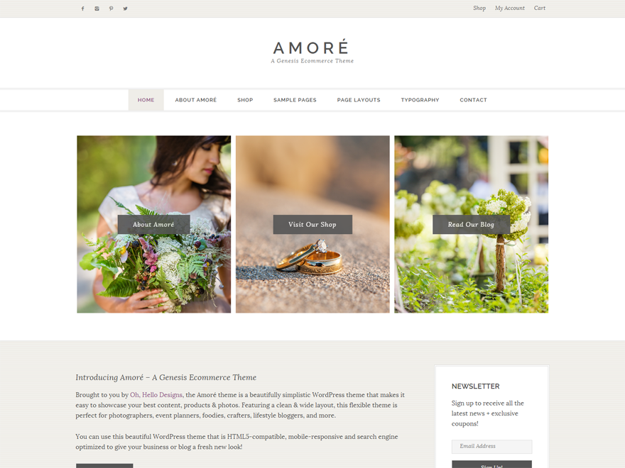 ohd-amore theme websites examples