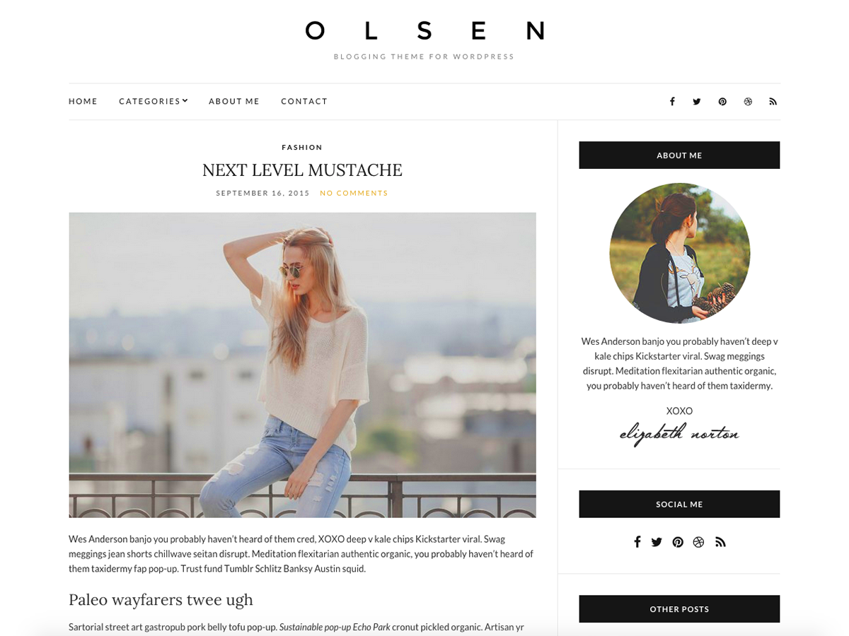 Olsen Light website example screenshot