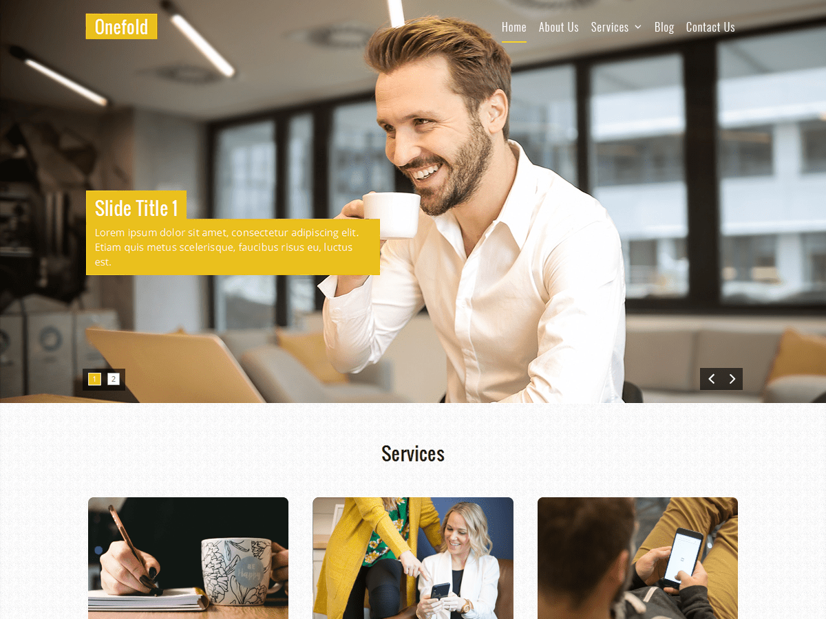 Onefold theme websites examples
