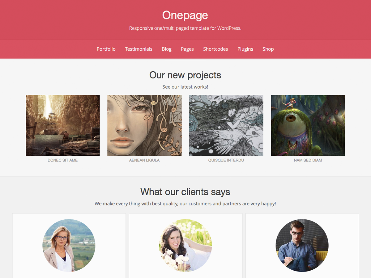 Onepage website example screenshot