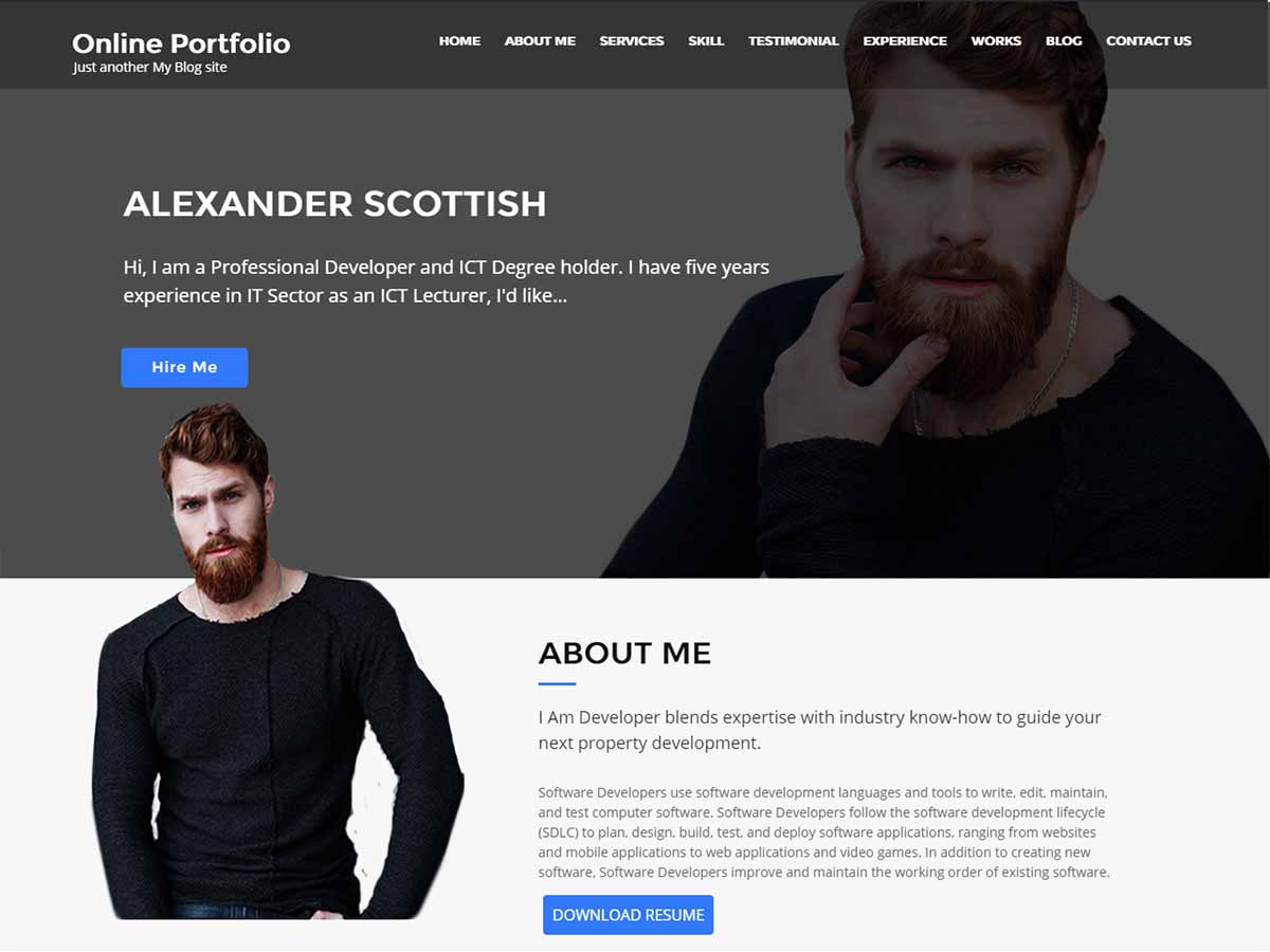 online-portfolio WordPress theme, websites list used online-portfolio theme online-portfolio theme websites examples
