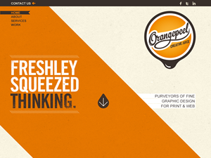 OrangePeel theme websites examples