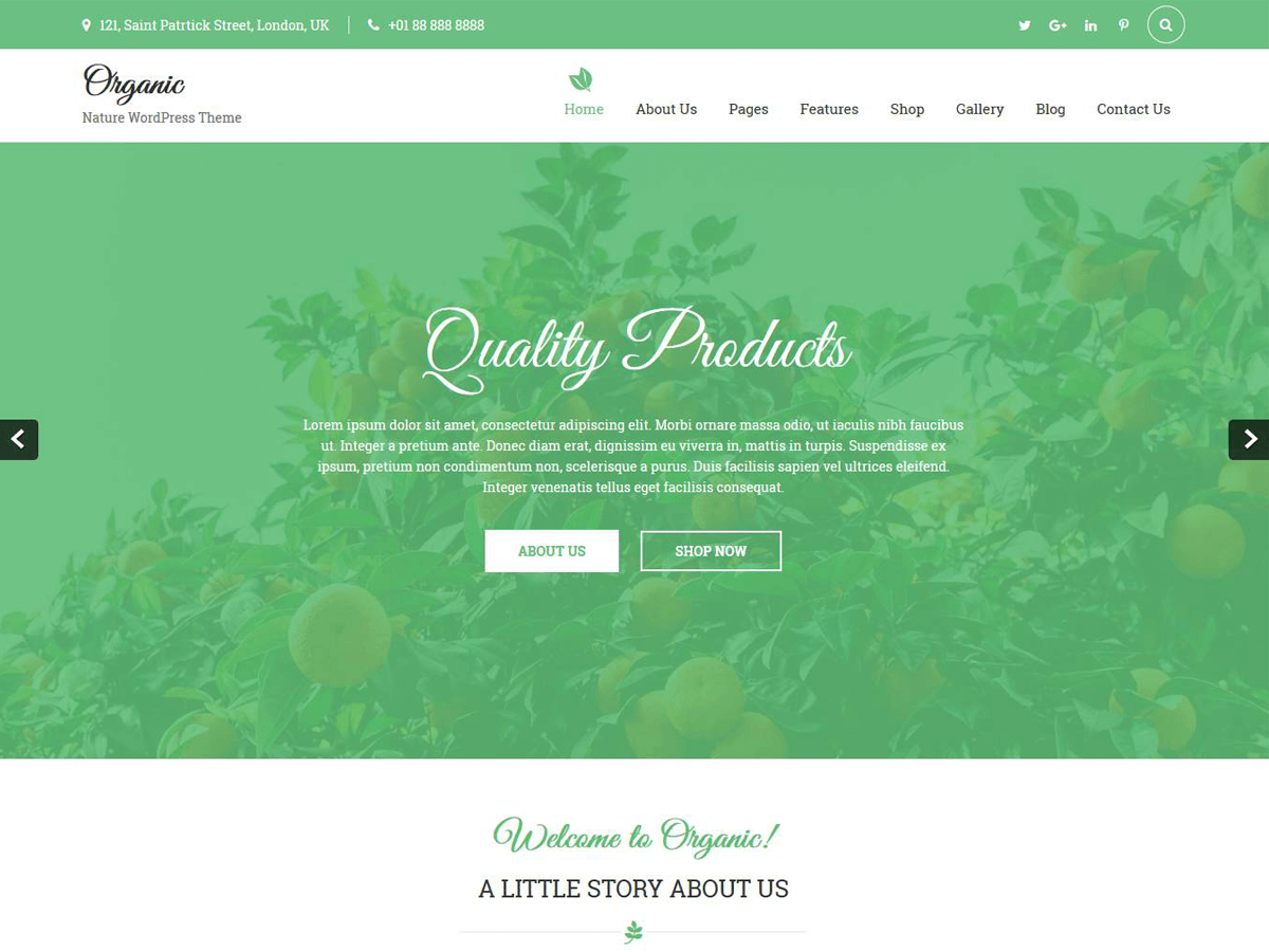 organic-lite theme websites examples