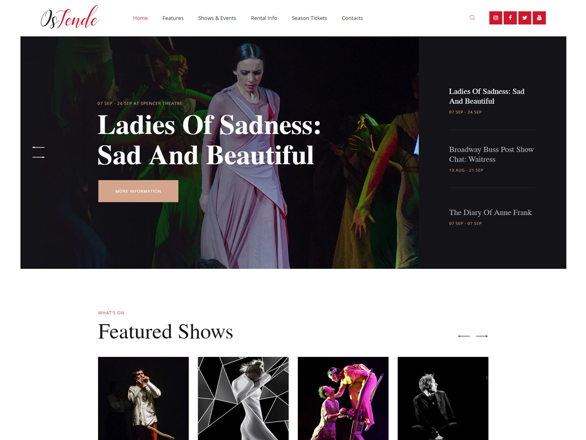 ostende theme websites examples