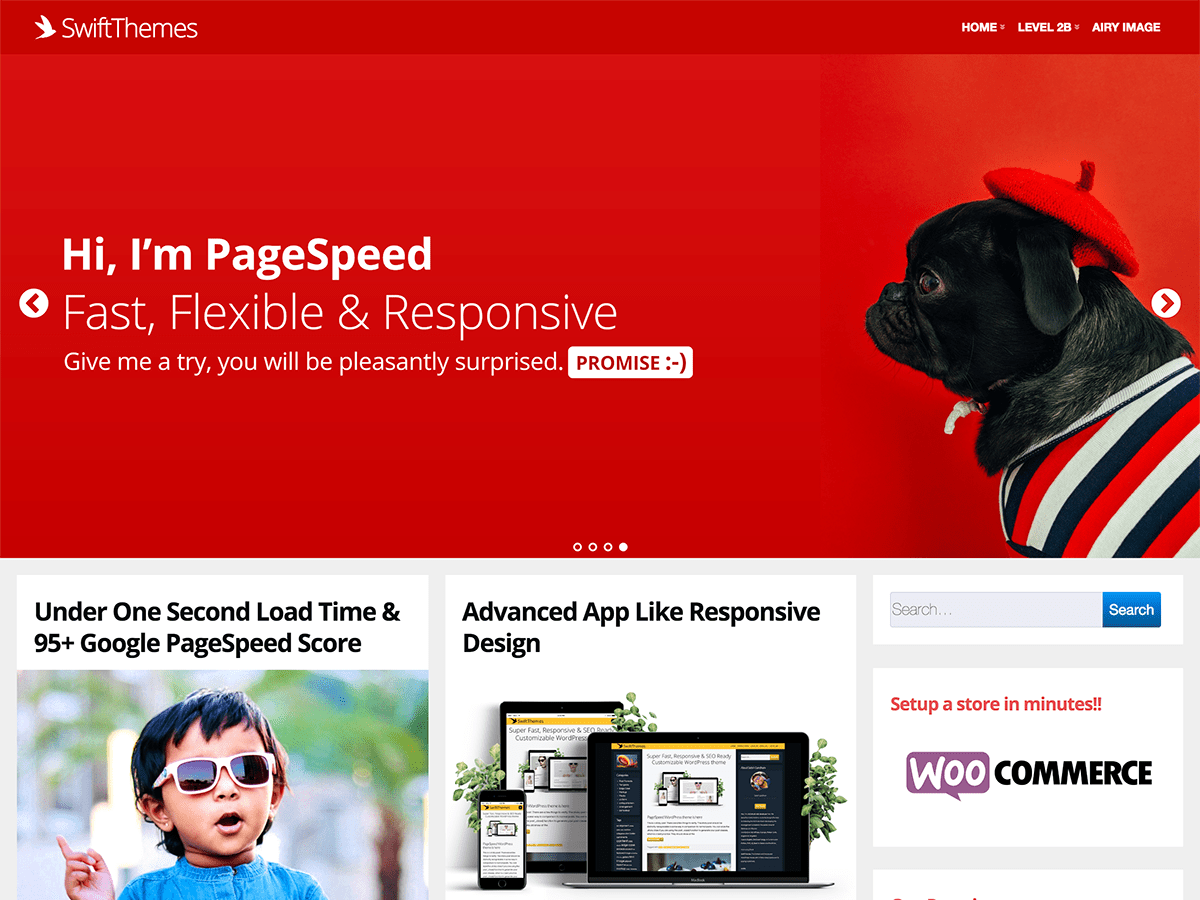 Page Speed website example screenshot