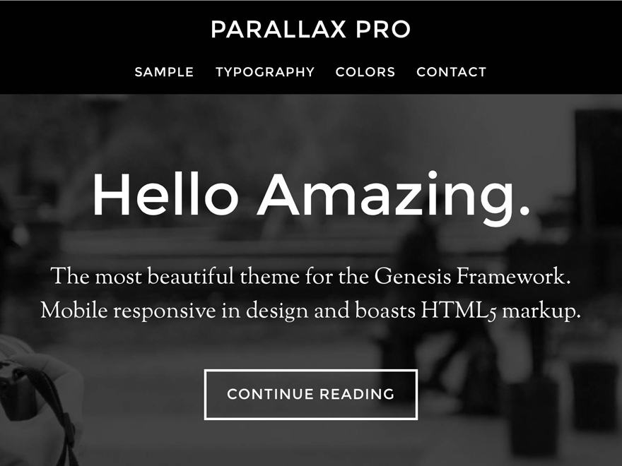 Parallax Pro website example screenshot