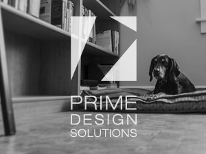 pds theme websites examples