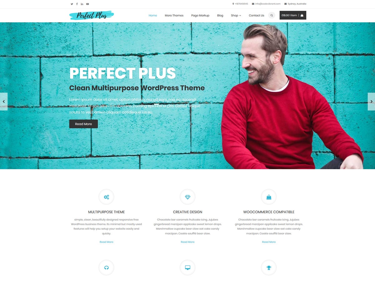 perfect-plus WordPress theme, websites list used perfect-plus theme perfect-plus theme websites examples
