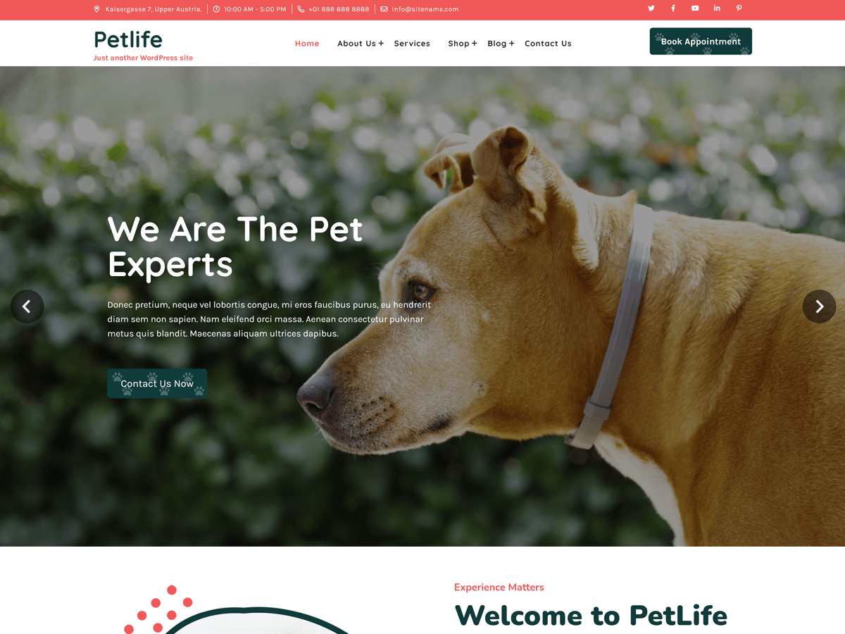 petlife-lite theme websites examples