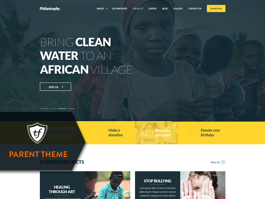 philanthropy-parent theme websites examples