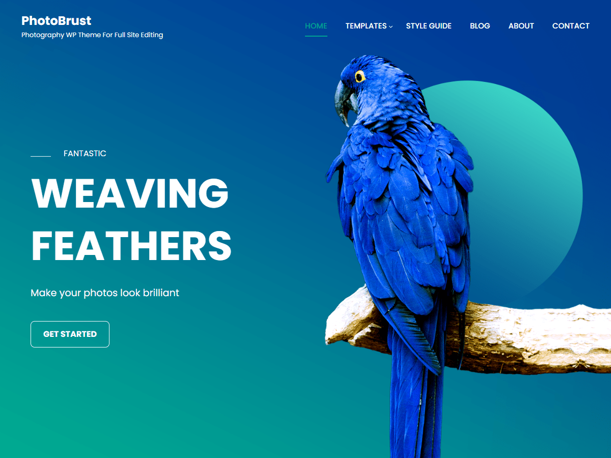 photobrust WordPress theme, websites list used photobrust theme photobrust theme websites examples