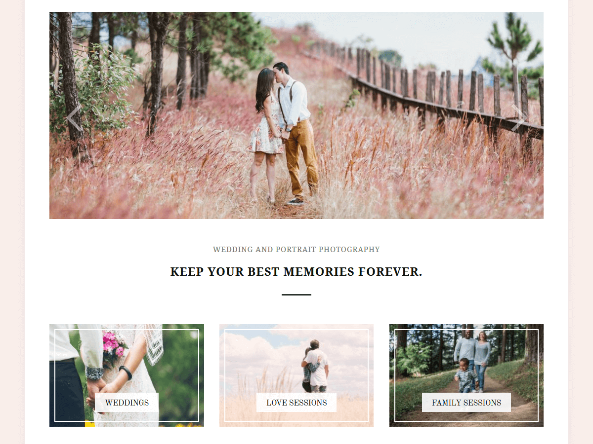 photozoom theme websites examples