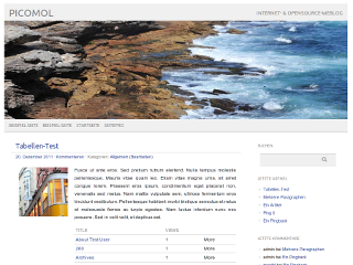 picolight website example screenshot