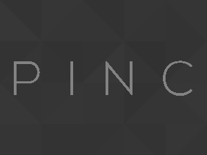 pinc theme websites examples