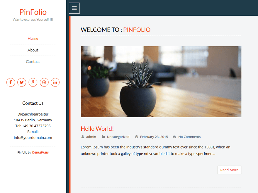 Pinfolio theme websites examples