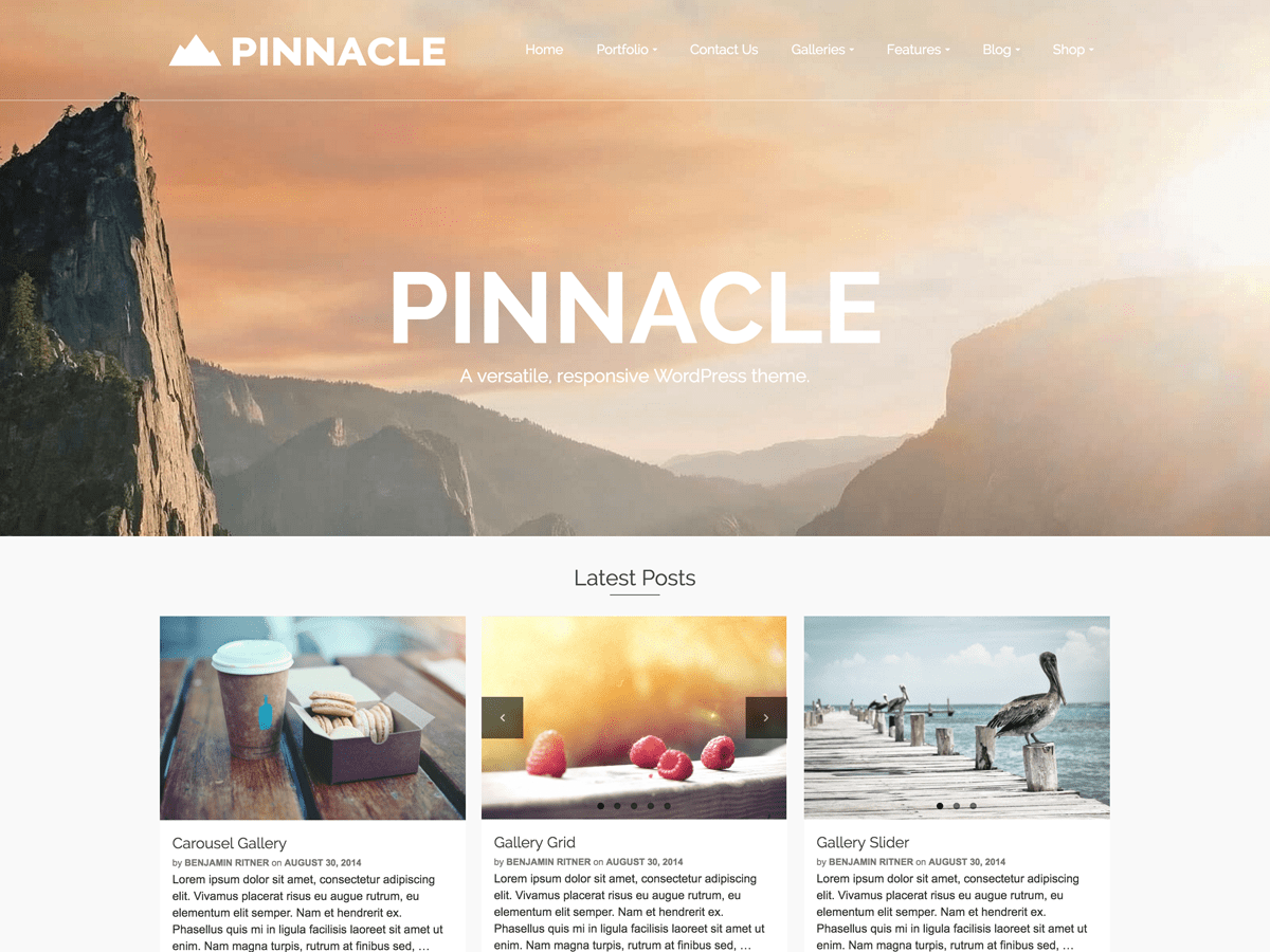 Pinnacle website example screenshot