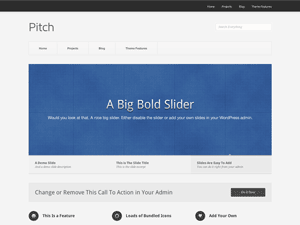 Pitch website example screenshot