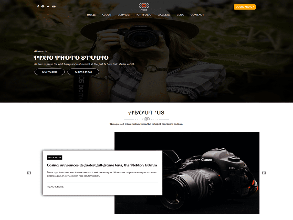 pixio theme websites examples