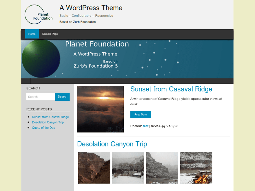 Planet Foundation theme websites examples