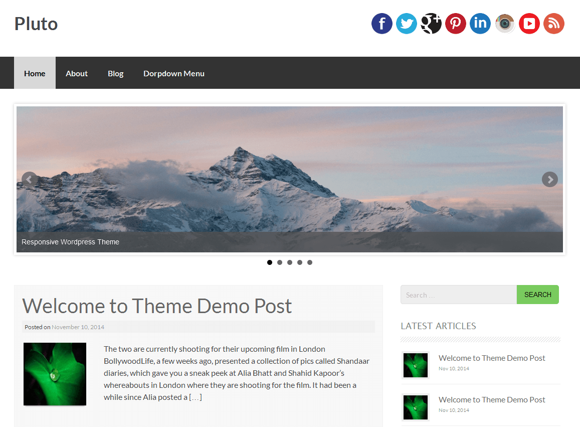 Pluto theme websites examples