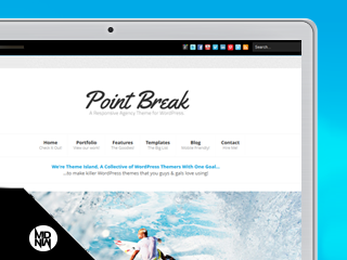 pointbreak theme websites examples