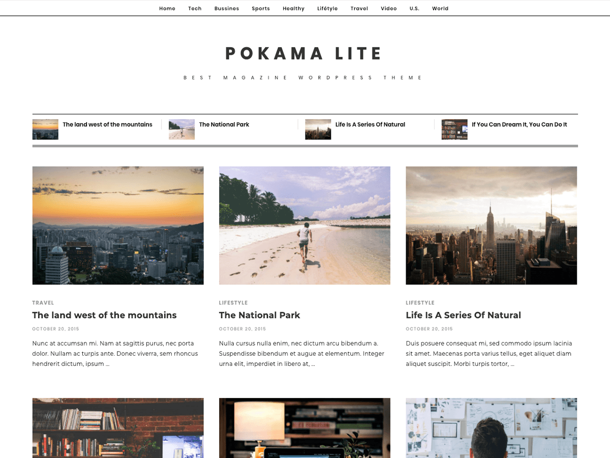 pokama-lite theme websites examples