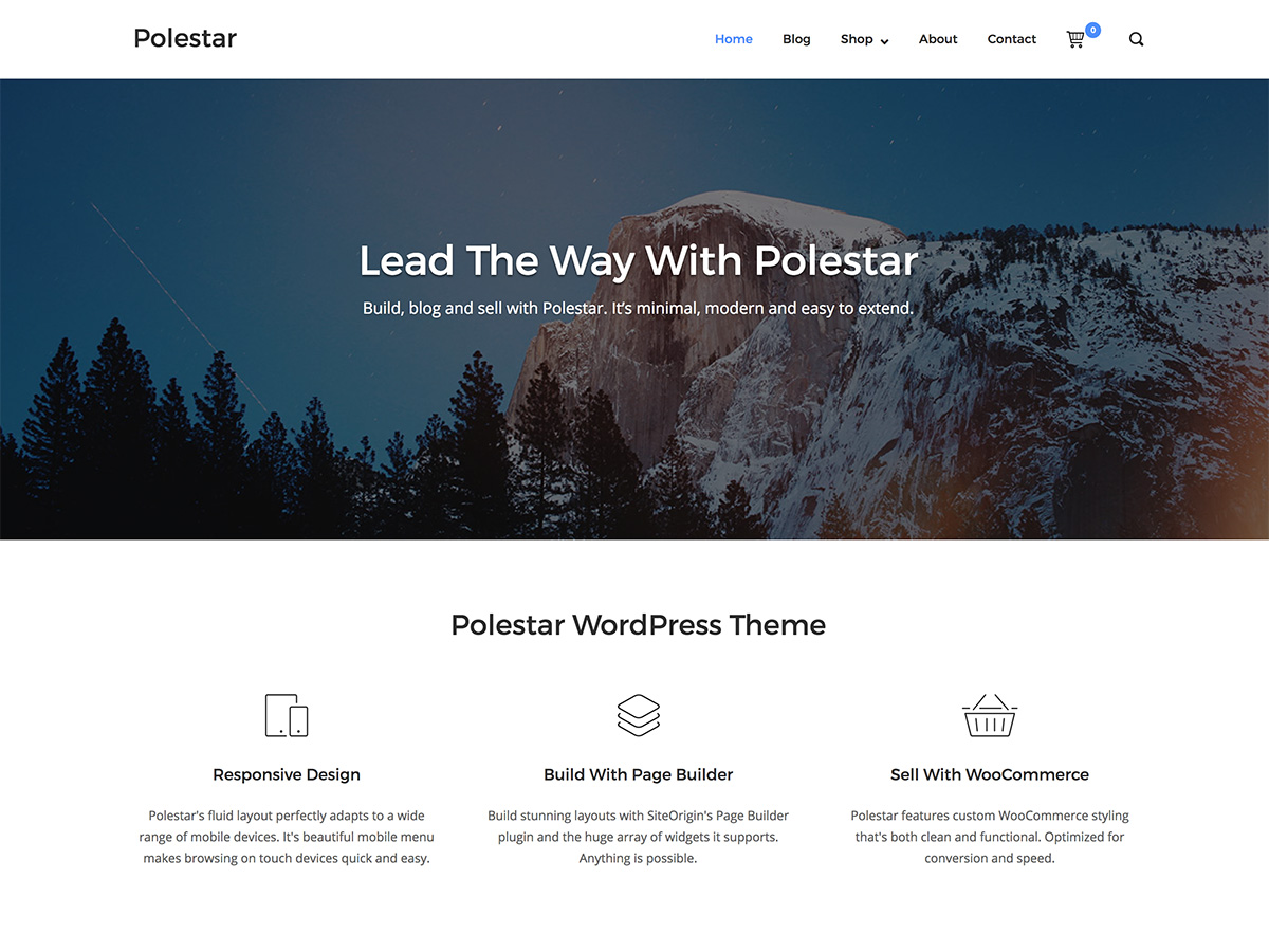 Polestar website example screenshot