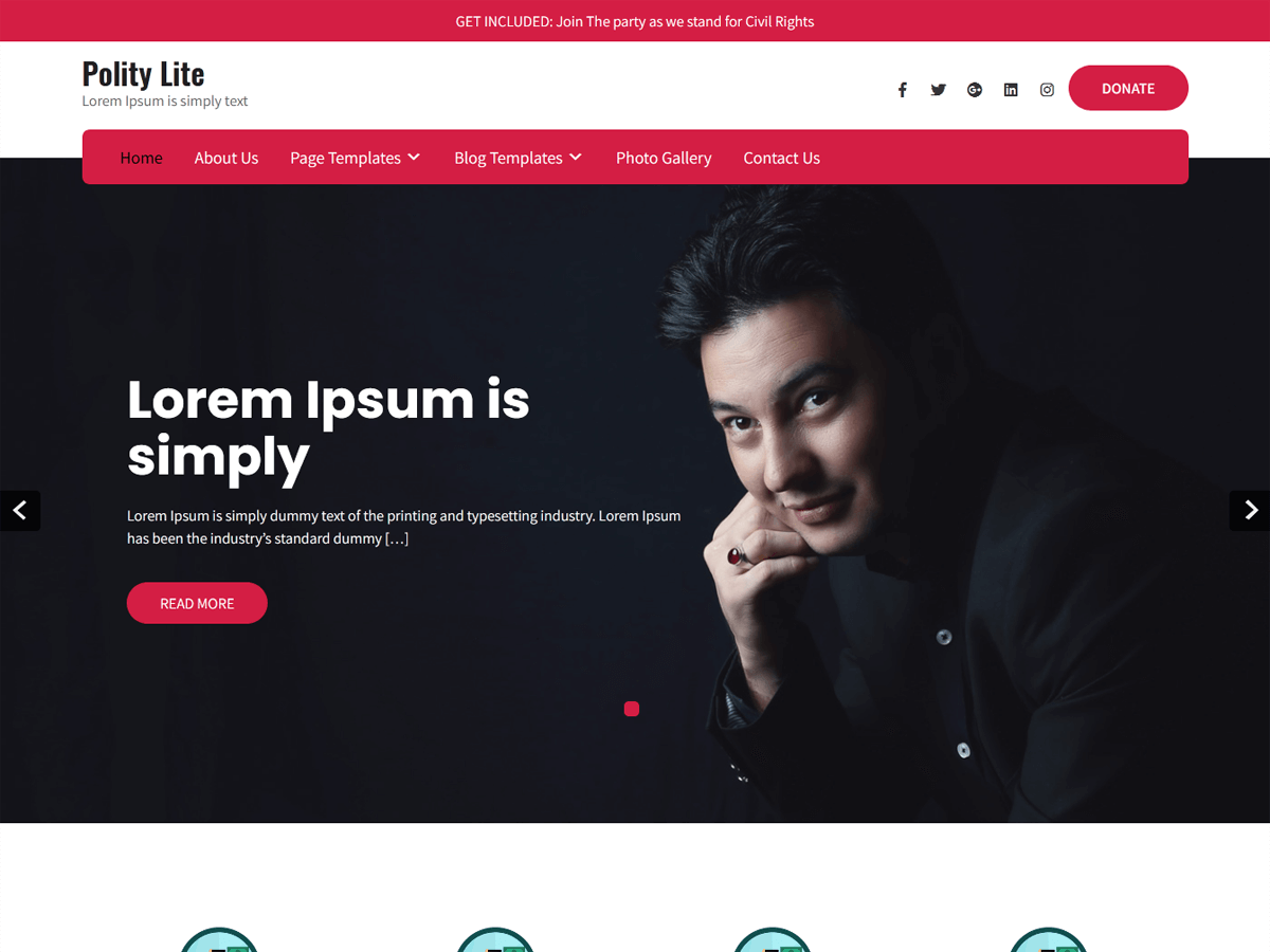 polity-lite theme websites examples