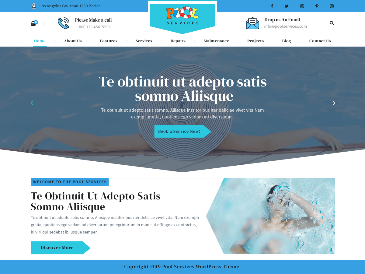 pool-services-lite theme websites examples