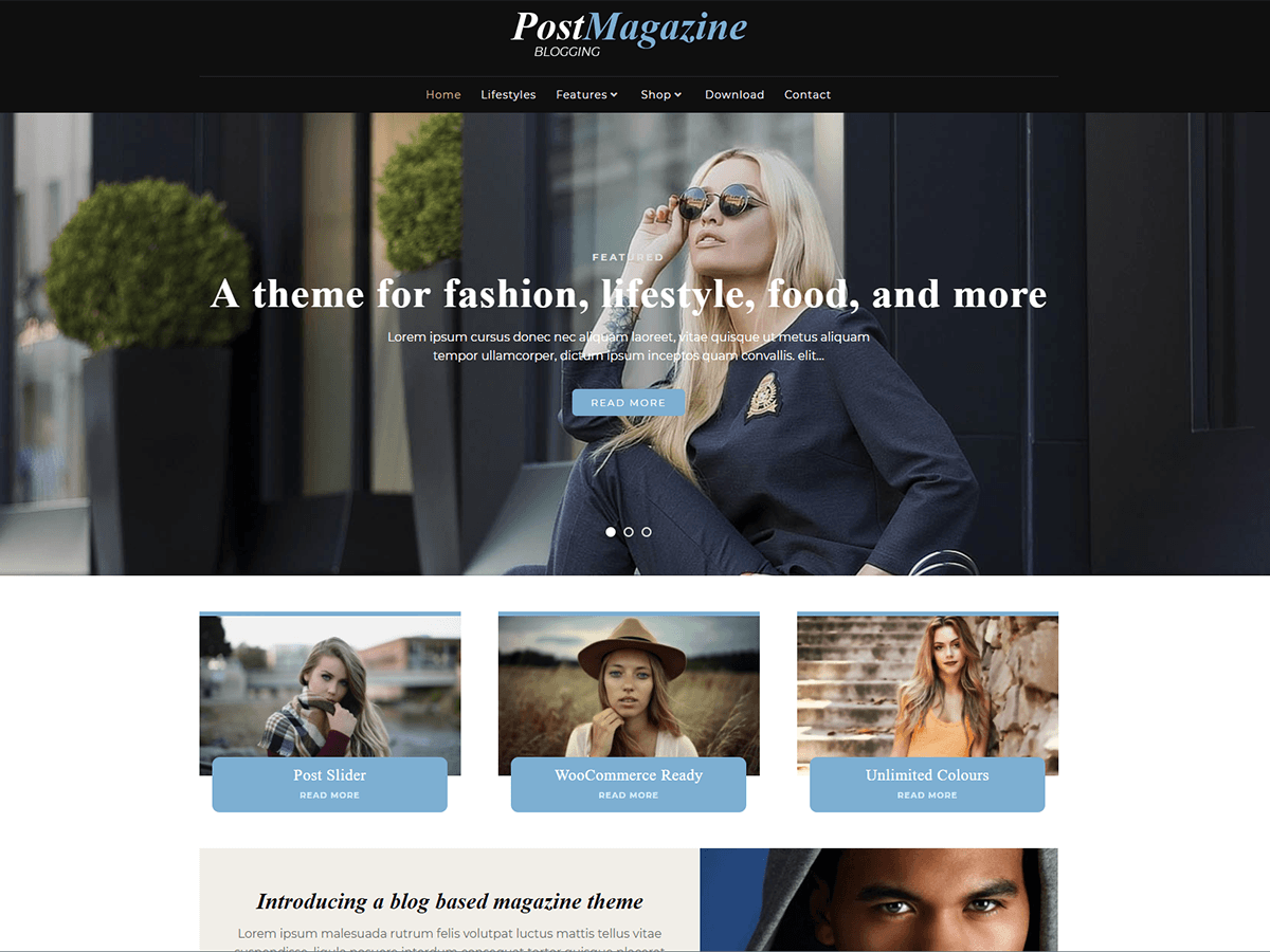 postmagazine theme websites examples