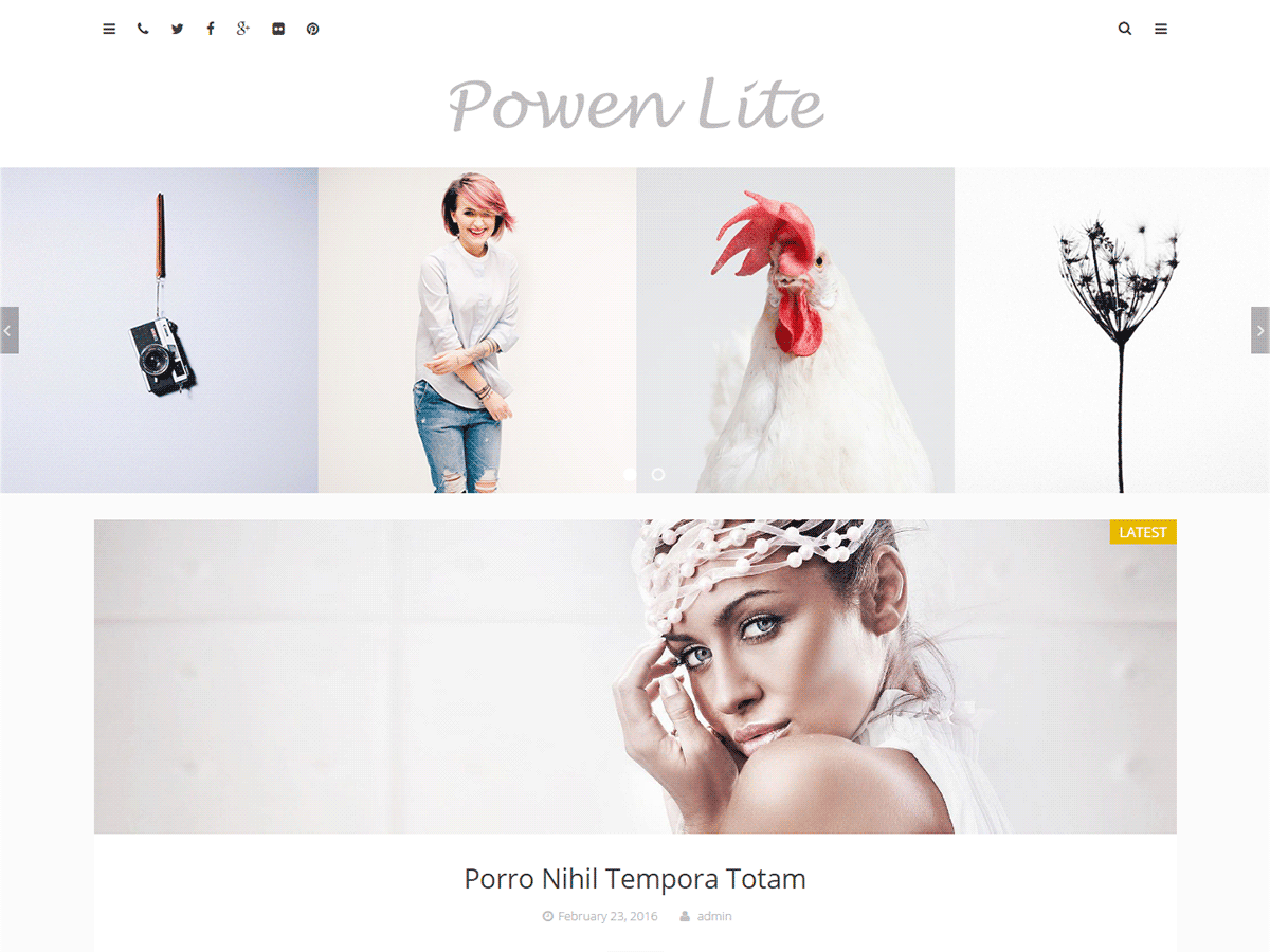 Powen Lite theme websites examples
