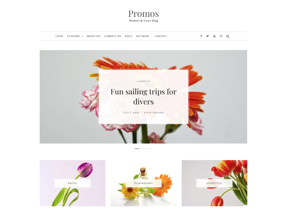 promos-lite theme websites examples