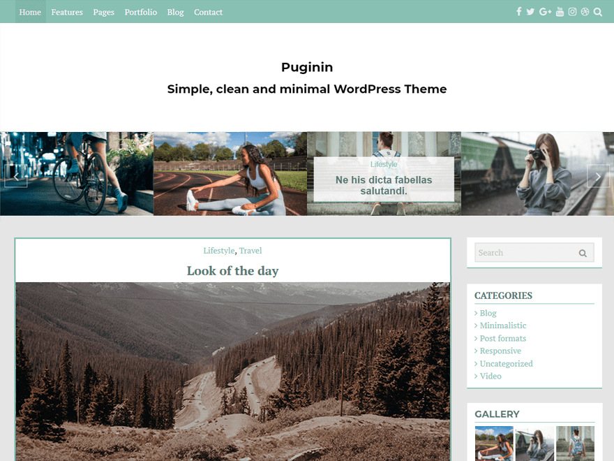 pugini theme websites examples