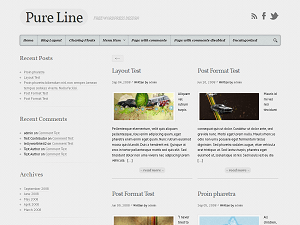 Pure Line website example screenshot