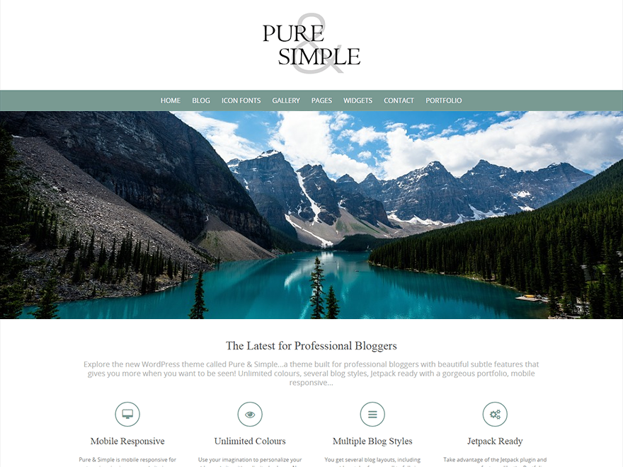 Pure & Simple website example screenshot