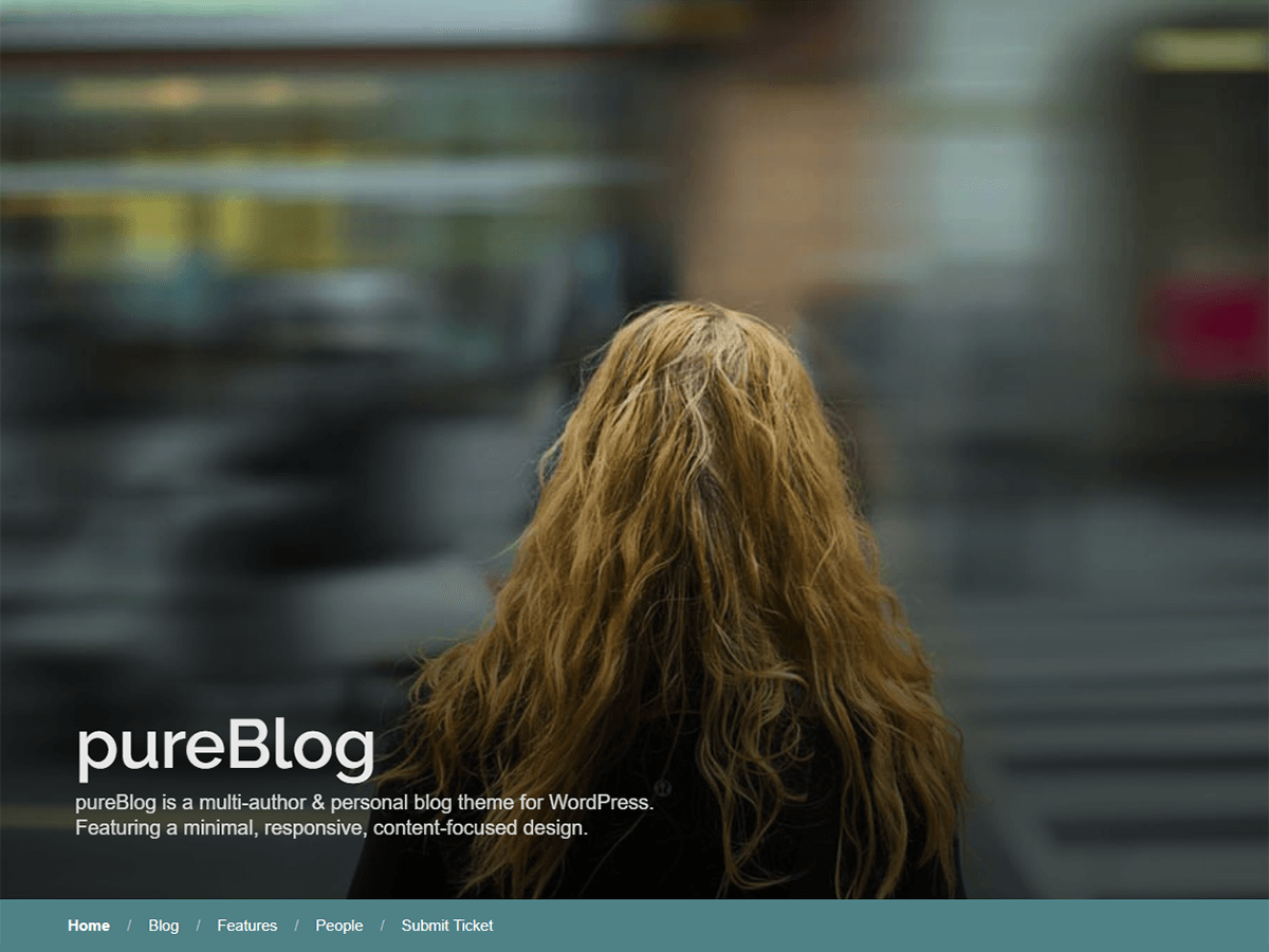 pureblog theme websites examples