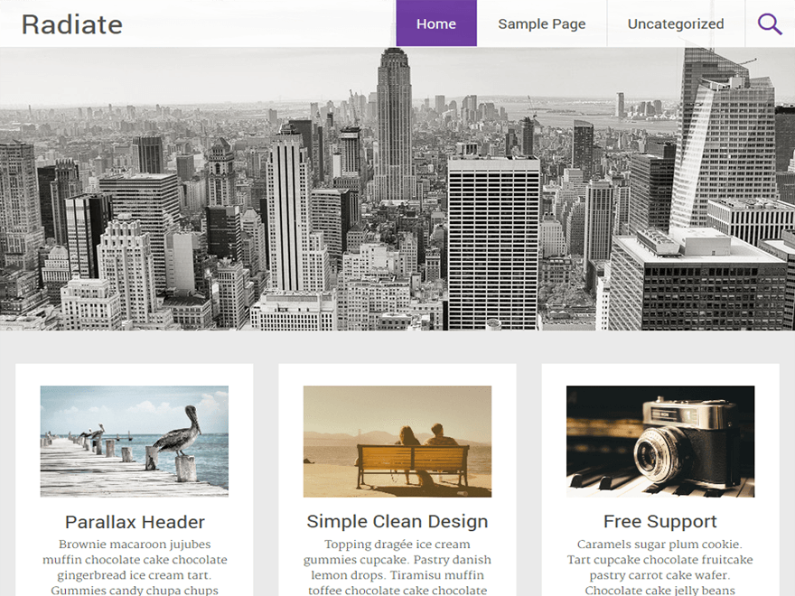 Radiate theme websites examples