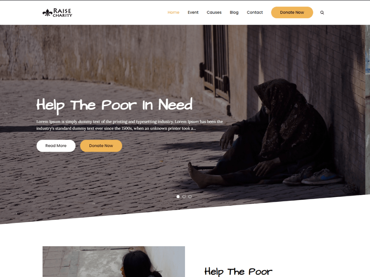 raise-charity theme websites examples