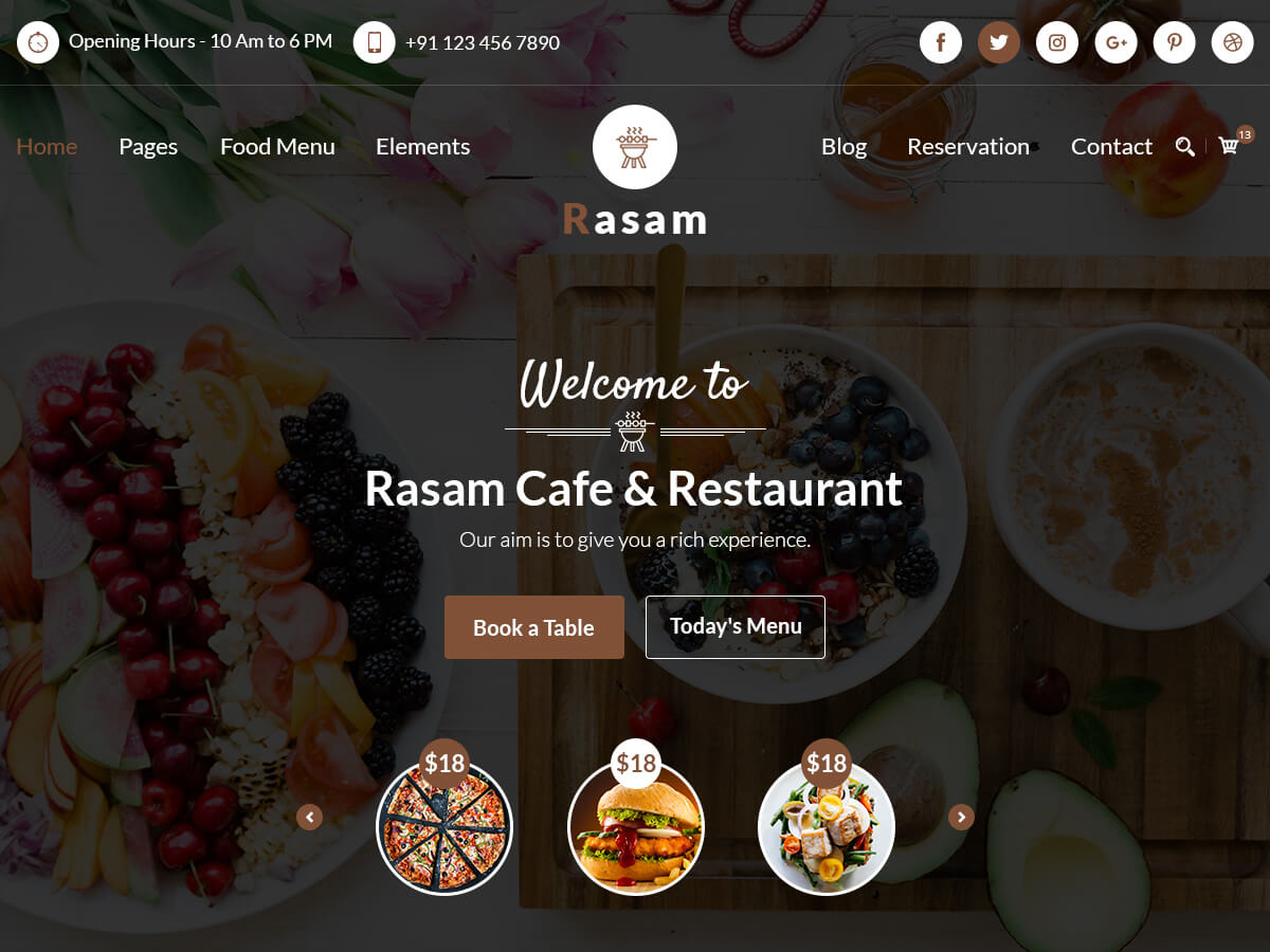 rasam theme websites examples