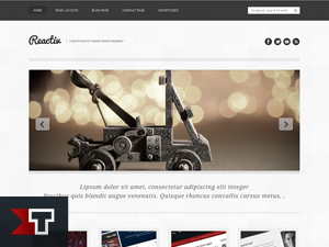 reactive theme websites examples