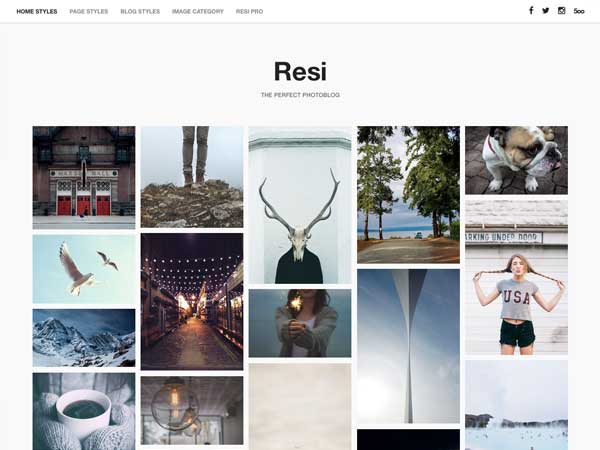 Resi theme websites examples