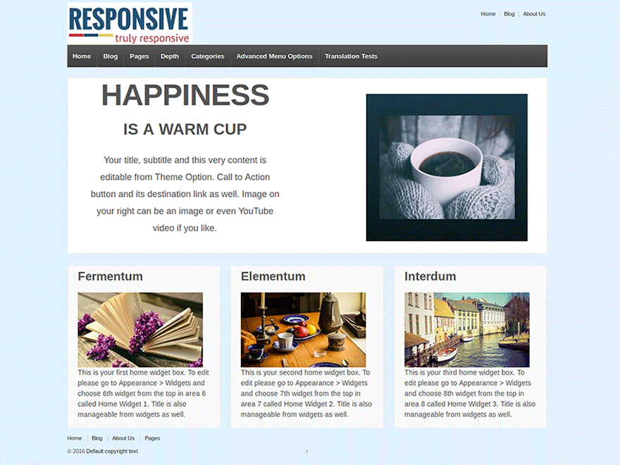 Responsive website example screenshot